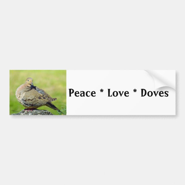Peace Love Doves Birds Bumper Sticker (Front)
