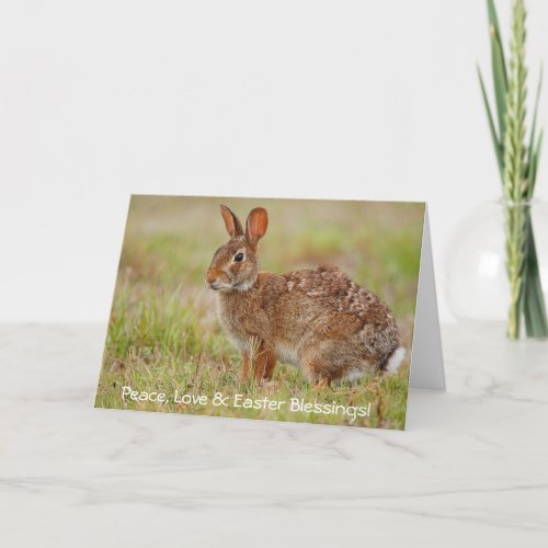 Peace Love  Easter Blessings Greeting Card