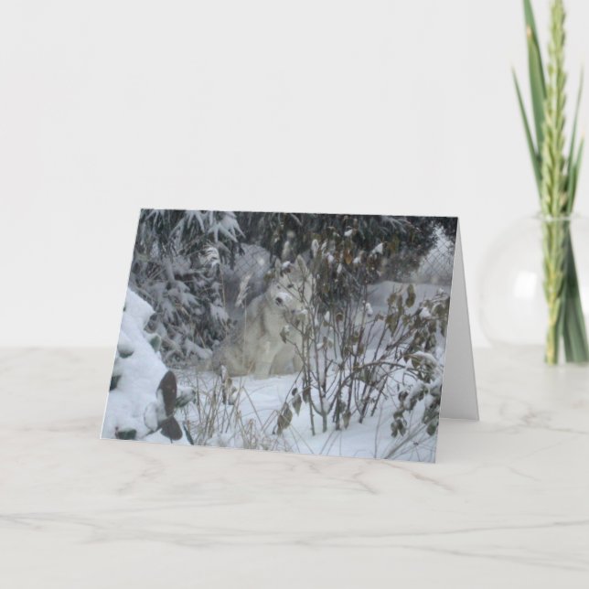 Peace Love Joy Dog Christmas Card (Front)