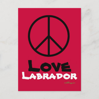 Peace Love Labrador Postcard