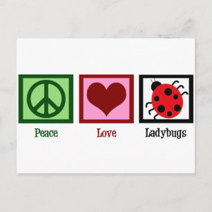 Peace Love Ladybugs Postcard
