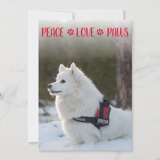 Peace Love Paws Photo Red Christmas Flat Card (Front)
