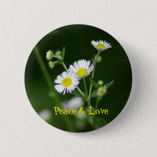 Peace & Love Pin