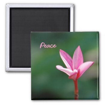 Peace Magnet by pulsDesign at Zazzle