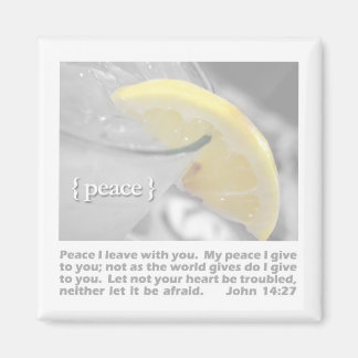 peace magnet