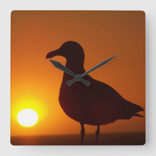 Peace of mind_Wall Clock