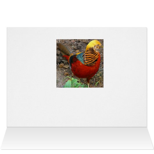 PEACE Om (Inside Horizontal (Top))