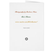 Peace on Earth: card (Back)