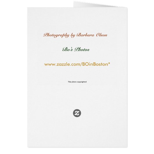 Peace on Earth: card (Back)