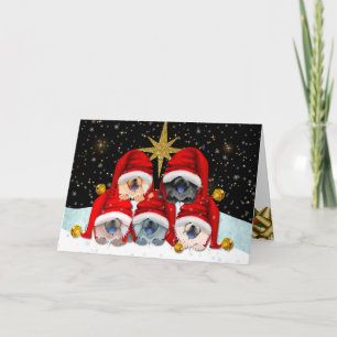 PEACE ON EARTH Chow art cards