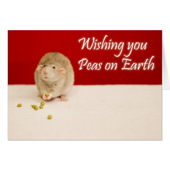 peace on earth christmas rat card zazzle com peace on earth christmas rat card zazzle com