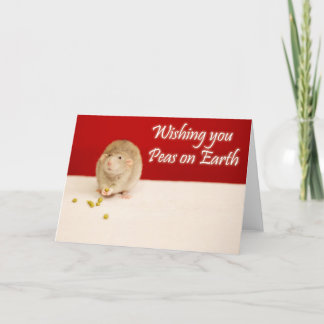 Peace on Earth Christmas Rat Holiday Card