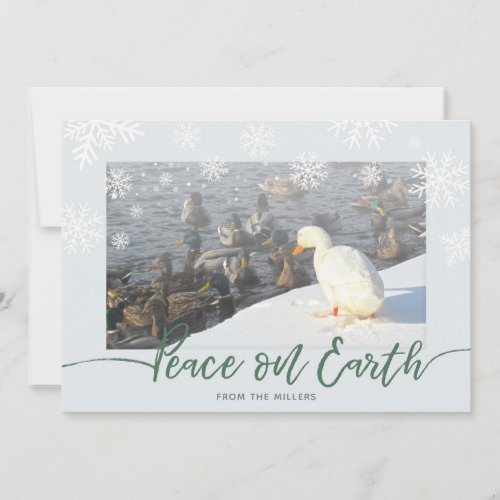 Peace on Earth Ducks Holiday Card