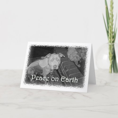 Peace on Earth Pit Bull Christmas Card