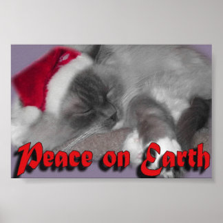 Peace on Earth Poster