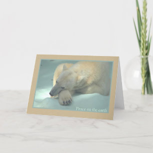 Peace on the earth - Polar Bear Holiday Card