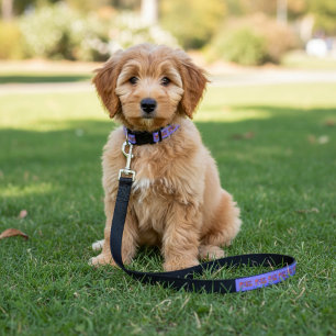 Peace Pet Leash