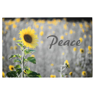 "Peace" Phrase, Field of Sunflowers, Black & White Metal Print