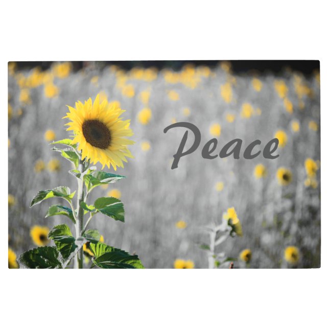 "Peace" Phrase, Field of Sunflowers, Black & White Metal Print (Front)