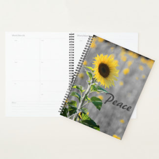 "Peace" Phrase, Field of Sunflowers, Black & White Planner