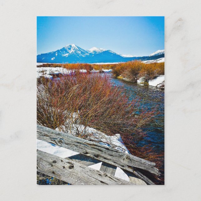 "Peace" Postcard (Front)