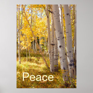 Peace Poster