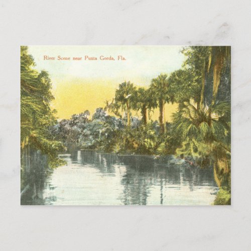 Peace River vintage scene Punta Gorda Florida Postcard