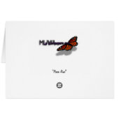 Peace Rose Beautiful Pink and Yellow Floral (Back Horizontal)