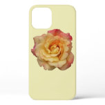 Peace Rose Beautiful Pink and Yellow Floral iPhone 12 Case