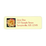 Peace Rose Beautiful Pink and Yellow Floral Label