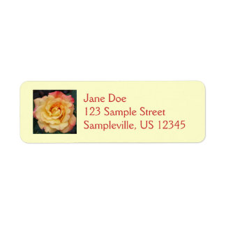 Peace Rose Beautiful Pink and Yellow Floral Label