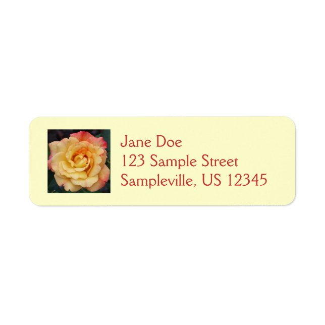 Peace Rose Beautiful Pink and Yellow Floral Label (Front)