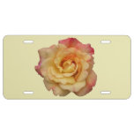 Peace Rose Beautiful Pink and Yellow Floral License Plate