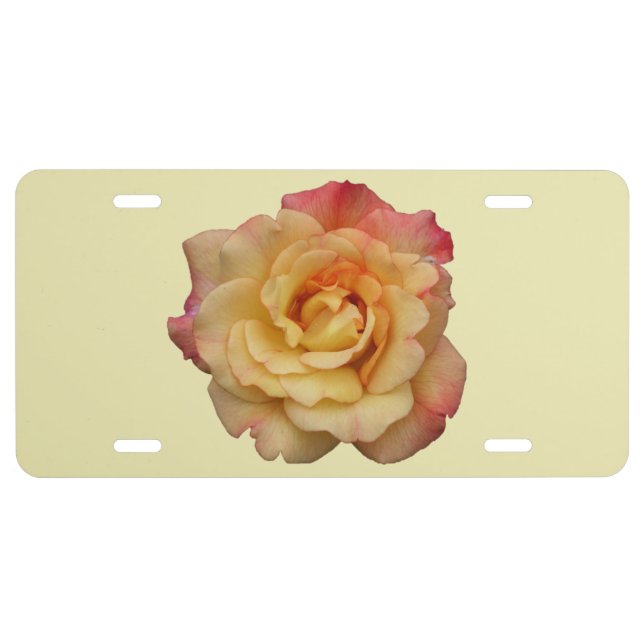 Peace Rose Beautiful Pink and Yellow Floral License Plate (Front)