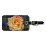 Peace Rose Beautiful Pink and Yellow Floral Luggage Tag
