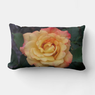 Peace Rose Beautiful Pink and Yellow Floral Lumbar Pillow
