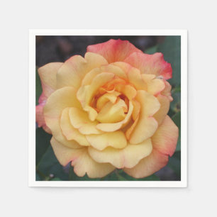 Peace Rose Beautiful Pink and Yellow Floral Napkins