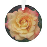 Peace Rose Beautiful Pink and Yellow Floral Ornament