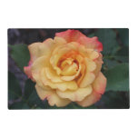 Peace Rose Beautiful Pink and Yellow Floral Placemat