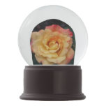 Peace Rose Beautiful Pink and Yellow Floral Snow Globe