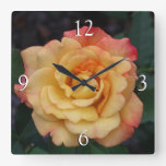 Peace Rose Beautiful Pink and Yellow Floral Square Wall Clock