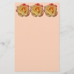 Peace Rose Beautiful Pink and Yellow Floral Stationery