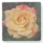 Peace Rose Beautiful Pink and Yellow Floral Stone Coaster