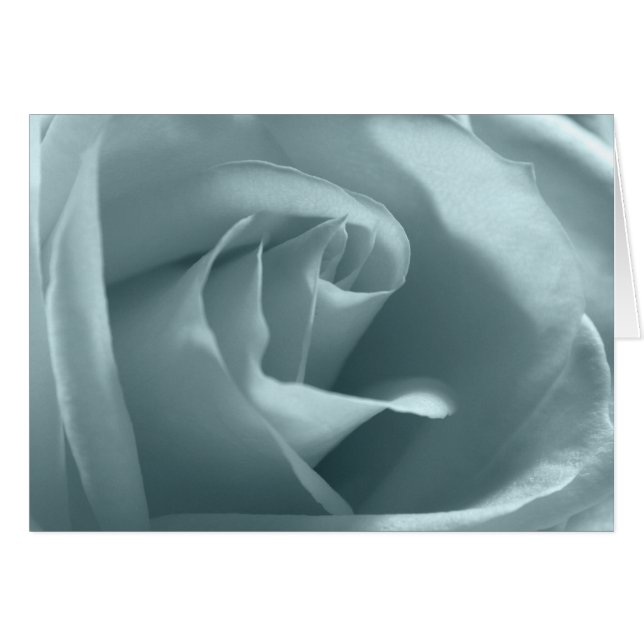 Peace Rose Cards (Front Horizontal)