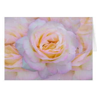 Peace rose cards