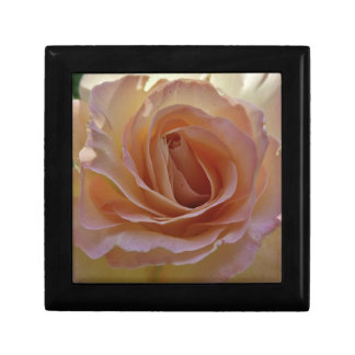Peace Rose Gift Box