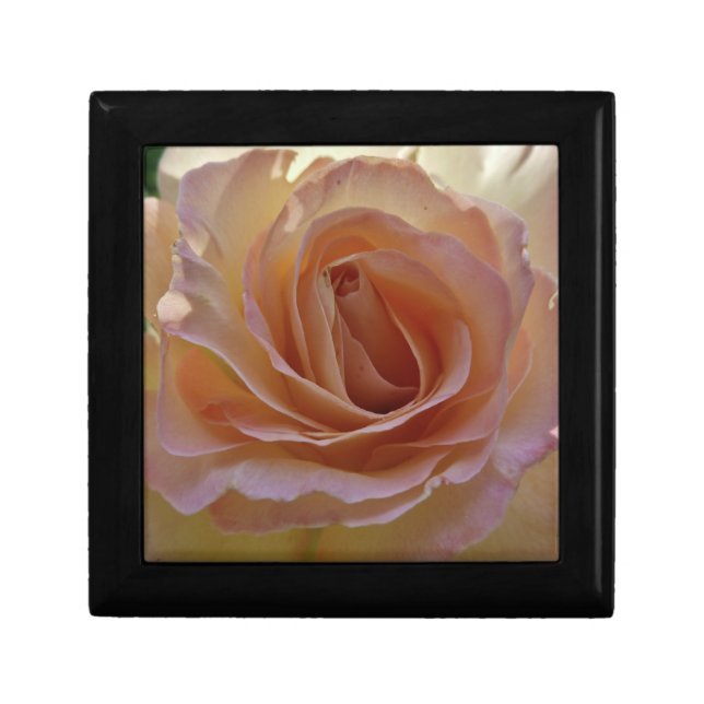 Peace Rose Gift Box (Front)