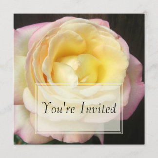 Peace Rose Invitations