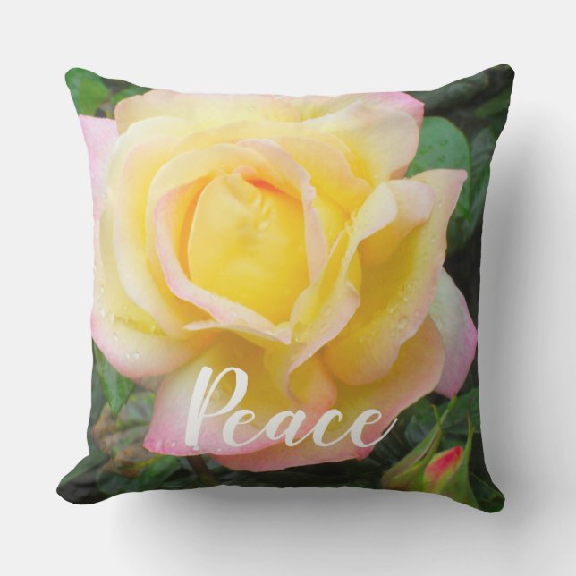 Peace Rose Photo Outdoor Pillow (Front)
