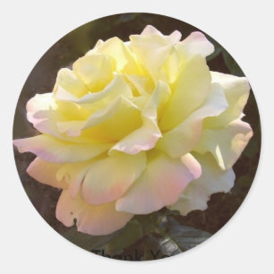 Peace Rose sticker